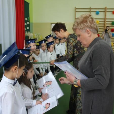 Wyświetl org. rozmiar