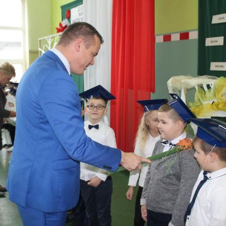 Wyświetl org. rozmiar