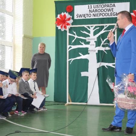 Wyświetl org. rozmiar