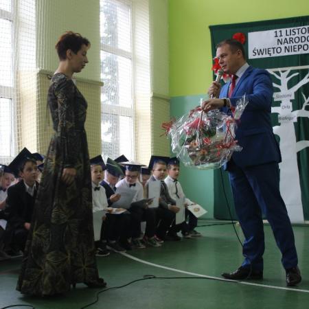 Wyświetl org. rozmiar