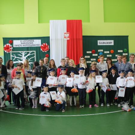 Wyświetl org. rozmiar