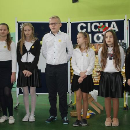 Wyświetl org. rozmiar