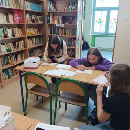Wyświetl org. rozmiar