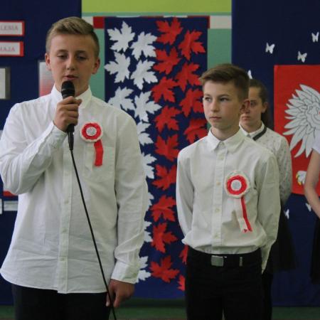 Wyświetl org. rozmiar