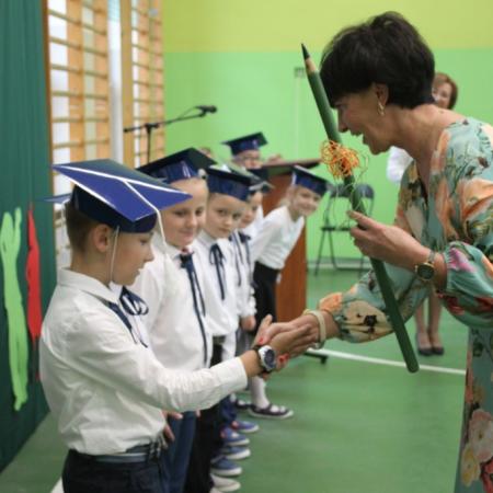 Wyświetl org. rozmiar