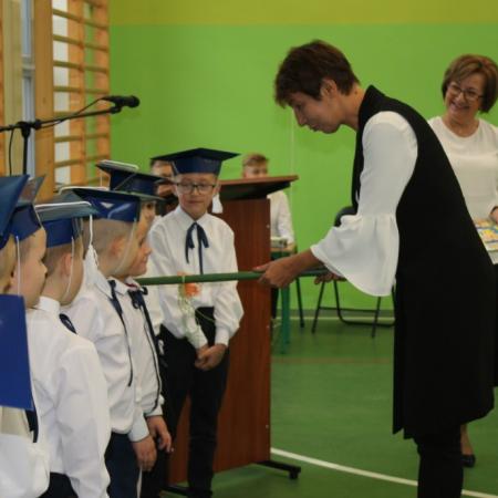Wyświetl org. rozmiar