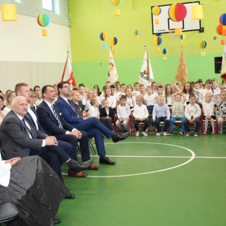 Wyświetl org. rozmiar