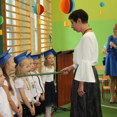 Wyświetl org. rozmiar