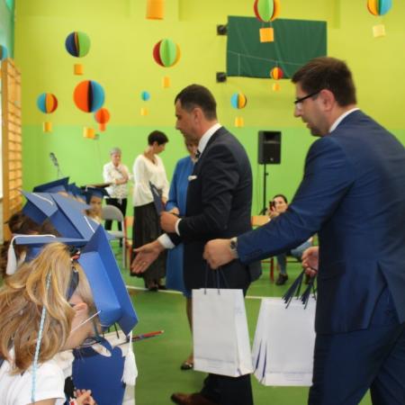 Wyświetl org. rozmiar