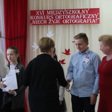 Wyświetl org. rozmiar