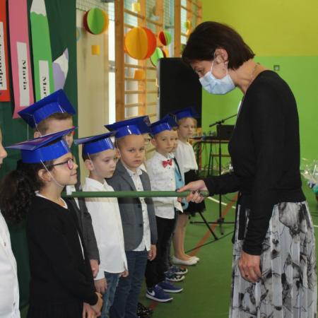Wyświetl org. rozmiar