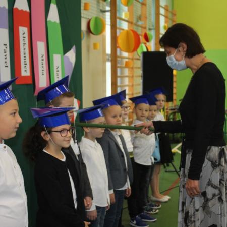 Wyświetl org. rozmiar