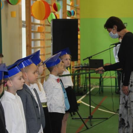 Wyświetl org. rozmiar