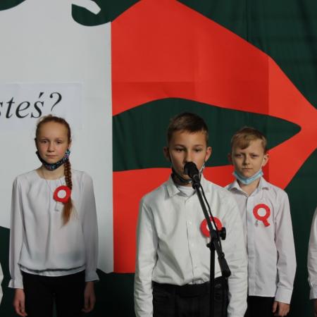 Wyświetl org. rozmiar