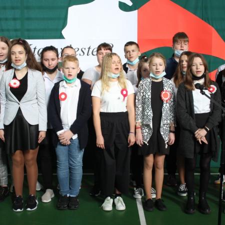 Wyświetl org. rozmiar