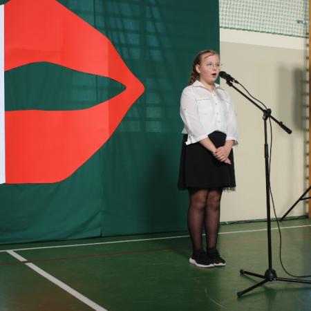 Wyświetl org. rozmiar