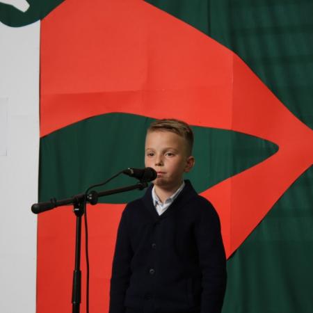 Wyświetl org. rozmiar