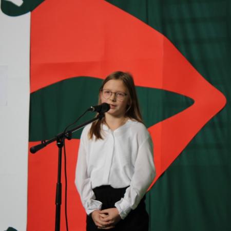 Wyświetl org. rozmiar