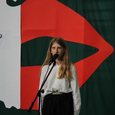 Wyświetl org. rozmiar