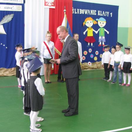 Wyświetl org. rozmiar