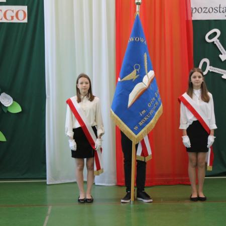 Wyświetl org. rozmiar