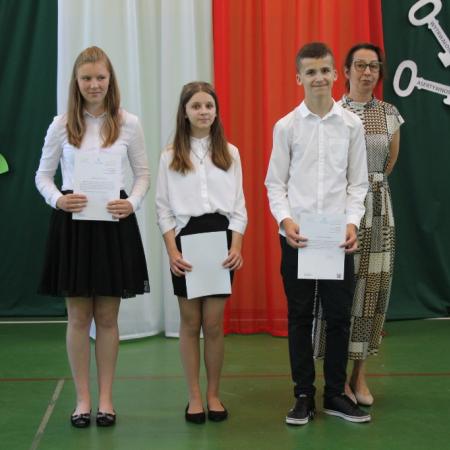 Wyświetl org. rozmiar