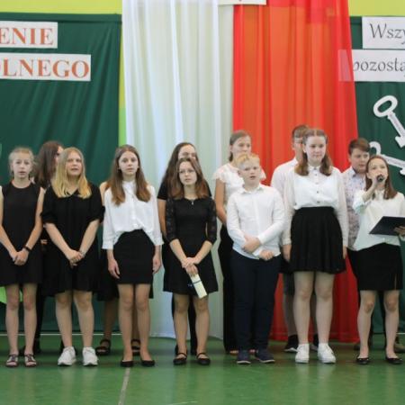 Wyświetl org. rozmiar