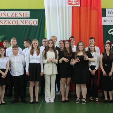 Wyświetl org. rozmiar