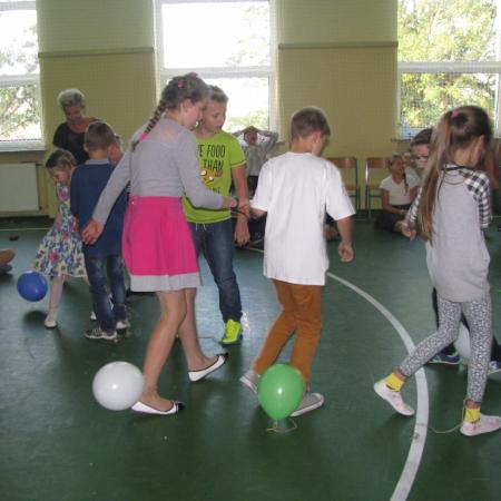Wyświetl org. rozmiar