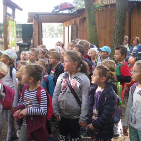 Wyświetl org. rozmiar