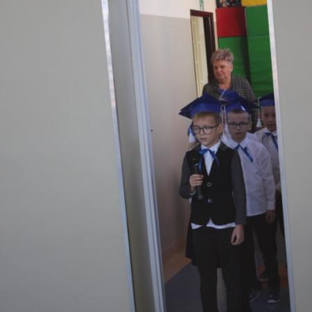 Wyświetl org. rozmiar