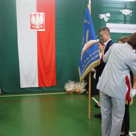 Wyświetl org. rozmiar