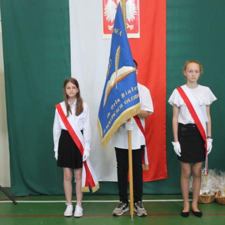Wyświetl org. rozmiar