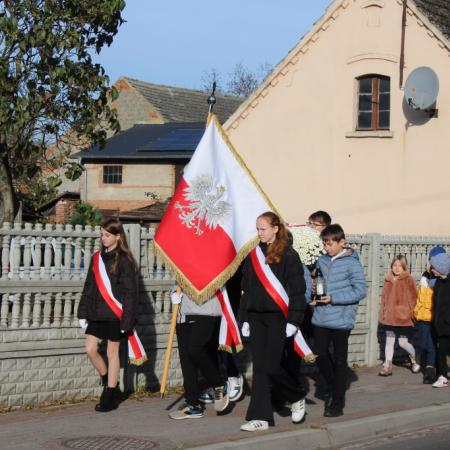 Wyświetl org. rozmiar