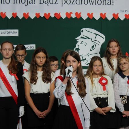 Wyświetl org. rozmiar
