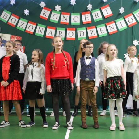 Wyświetl org. rozmiar
