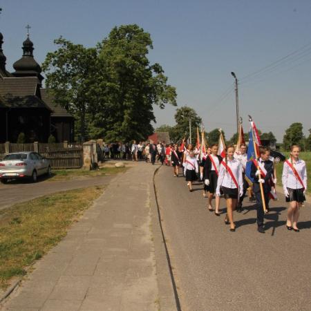 Wyświetl org. rozmiar