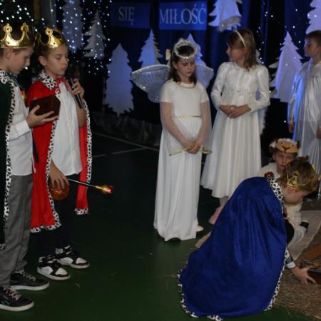 Wyświetl org. rozmiar