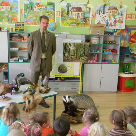 Wyświetl org. rozmiar