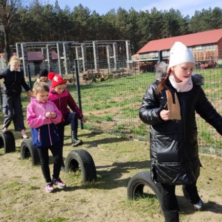 Wyświetl org. rozmiar
