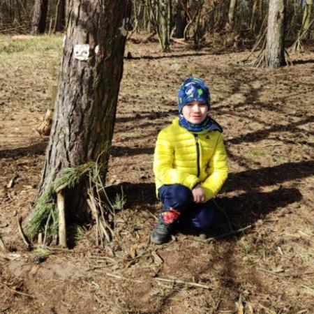 Wyświetl org. rozmiar