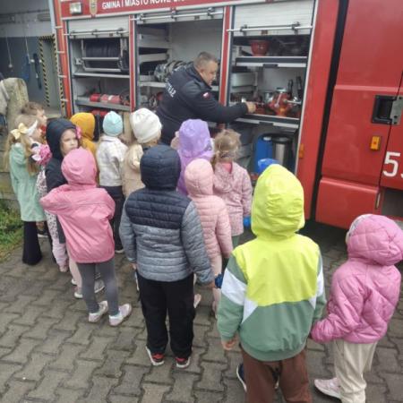 Wyświetl org. rozmiar