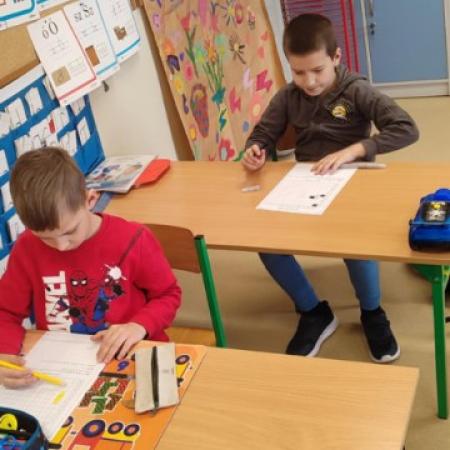 Wyświetl org. rozmiar