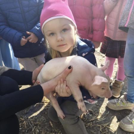 Wyświetl org. rozmiar