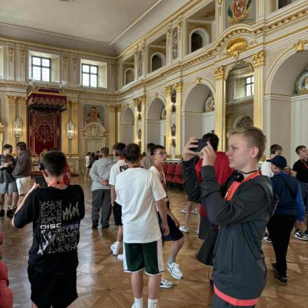 Wyświetl org. rozmiar