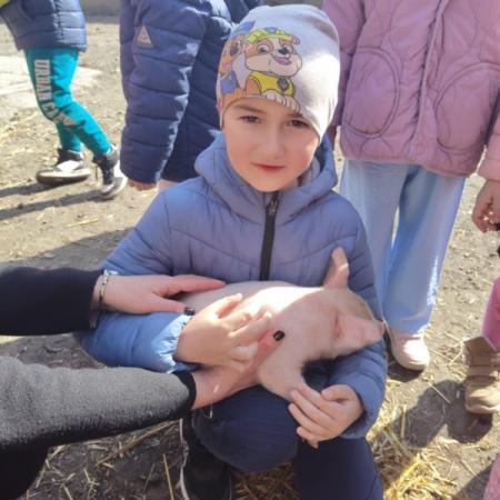 Wyświetl org. rozmiar