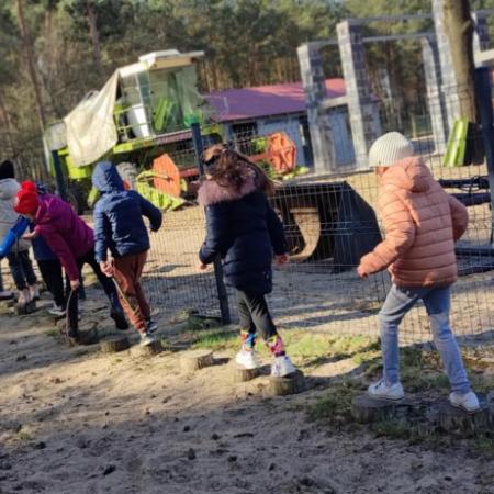 Wyświetl org. rozmiar