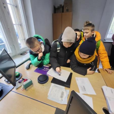 Wyświetl org. rozmiar