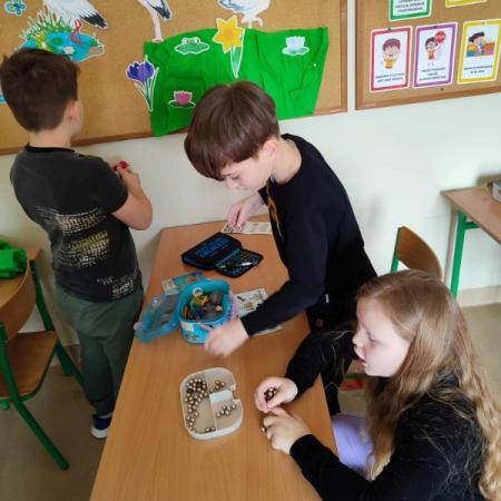 Wyświetl org. rozmiar