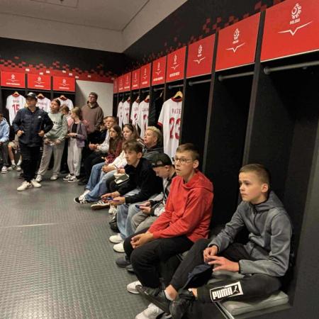 Wyświetl org. rozmiar